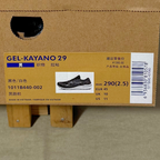 Gel Kayano 29